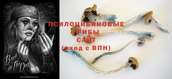 стаф Алексин