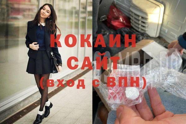 стаф Алексин