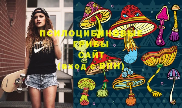 стаф Алексин